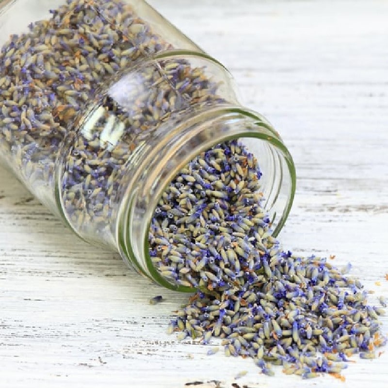 Blue Lavender Buds Skin Foodie