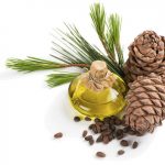 Cedarwood Essential Oil