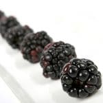 Black Raspberry & Vanilla Fragrance Oil - Nature's Garden
