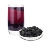 Mulberry Botanical Extract - Liquid
