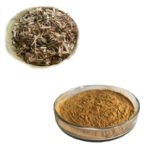 White Willow Bark Botanical Extract