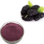 Mulberry Extract - Purple