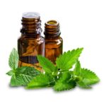 Peppermint Essential Oil - Piperita