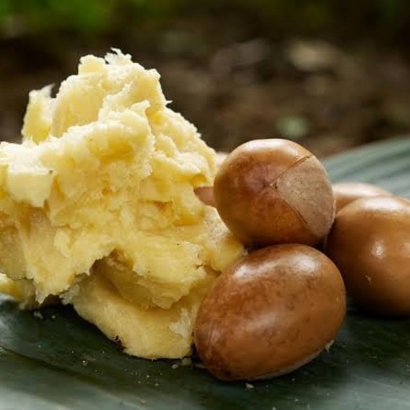 What Is Shea Butter and How Is It Used in Skincare