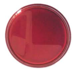 Astaxanthin Oil