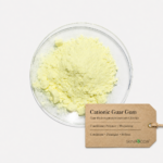 Guar Gum - Cationic